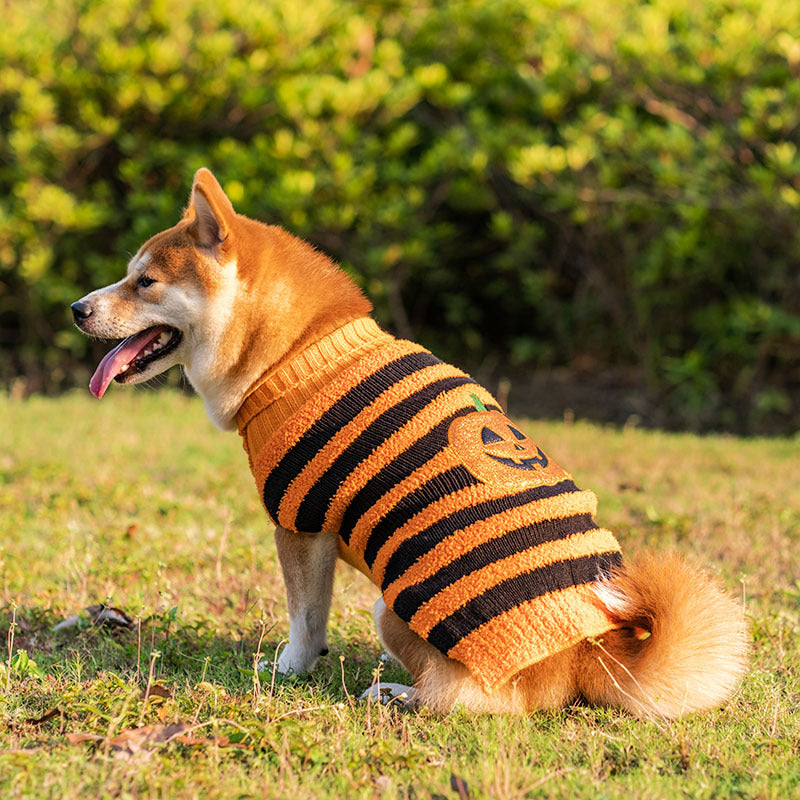 Halloween Dog Sweaters Pet Costume UK PET HOUSE