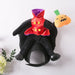 Halloween Pet Costume Headless Man UK PET HOUSE