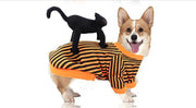 Halloween Pet Funny Top W/ black Cat Doll UK PET HOUSE