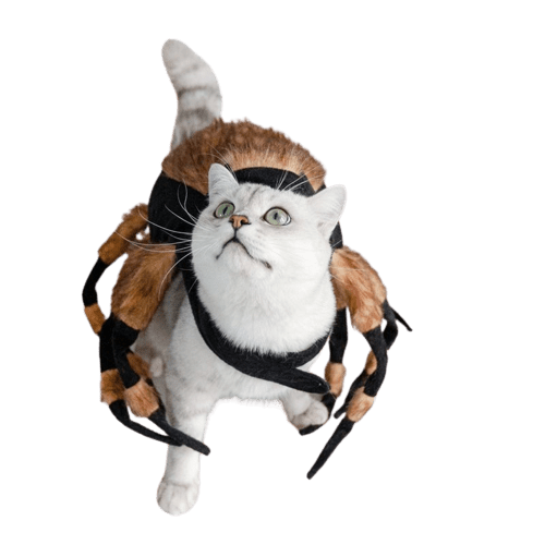 Halloween Pet Spider Costume Cool Cosplay UK PET HOUSE