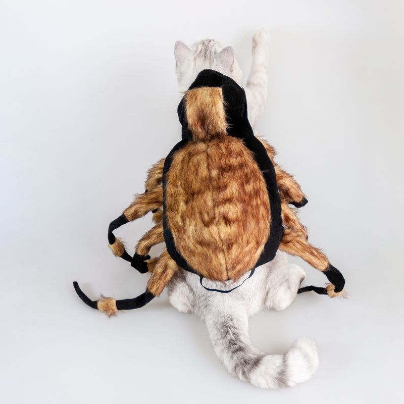 Halloween Pet Spider Costume Cool Cosplay UK PET HOUSE