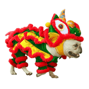Halloween Pet dance lion funny costume UK PET HOUSE