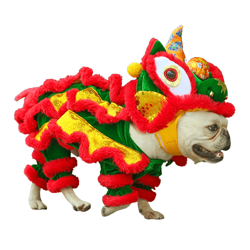 Halloween Pet dance lion funny costume UK PET HOUSE