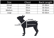 Halloween Pet dance lion funny costume UK PET HOUSE