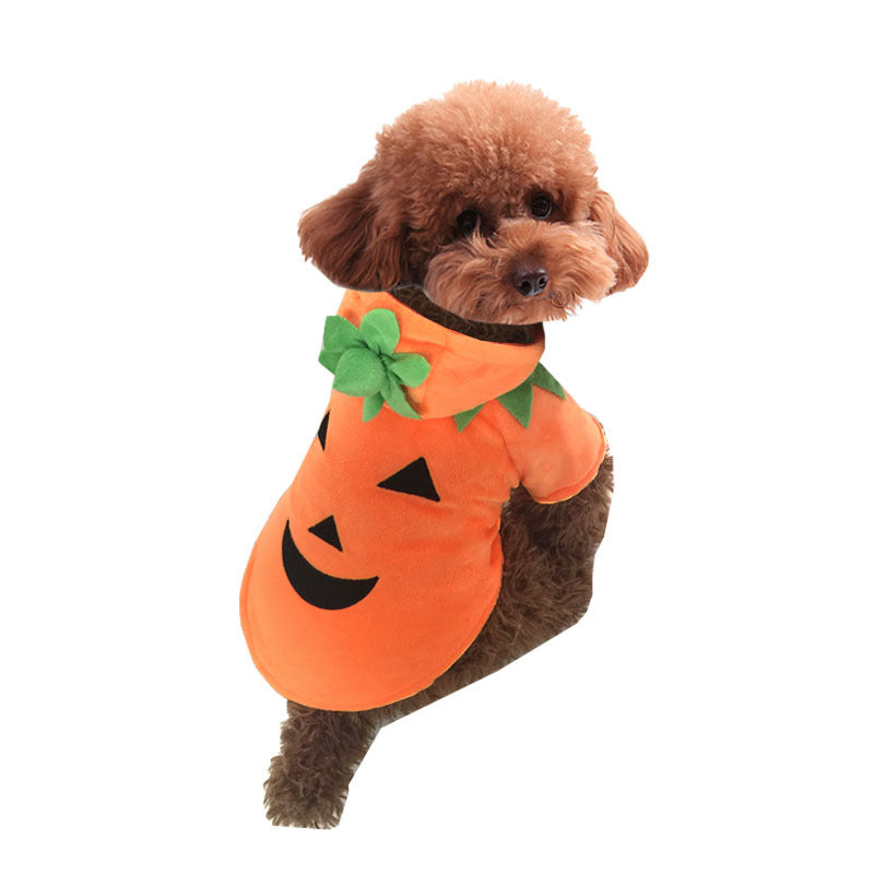 Halloween pet clothes pumpkin demon transformation costume UK PET HOUSE