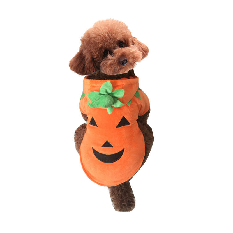 Halloween pet clothes pumpkin demon transformation costume UK PET HOUSE