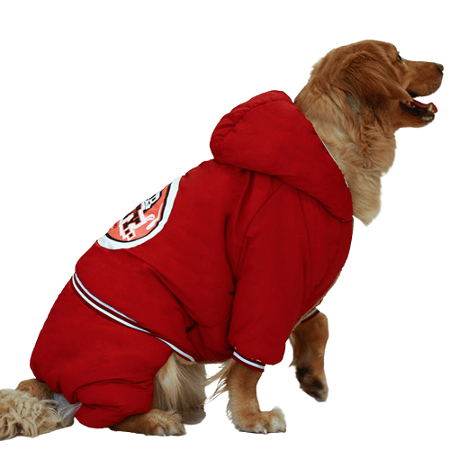 Heavy Padded Clothes For Big Dogs UK PET HOUSE