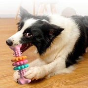 Indestructible Bone Chewing Bite Resistant Toy for Dogs UK PET HOUSE