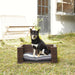 Indoor Outdoor Rattan Cat or Dog Elevated Rattan Bed ST-N10005-UK UK PET HOUSE