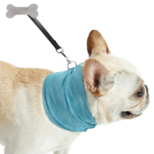 Instant Cooling Dog Bandana Collar UK PET HOUSE