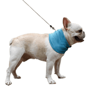 Instant Cooling Dog Bandana Collar UK PET HOUSE