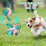 Interactive Football With Tabs Inflated Toys for Pets UK PET HOUSE