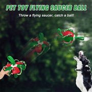 Interactive Football With Tabs Inflated Toys for Pets UK PET HOUSE