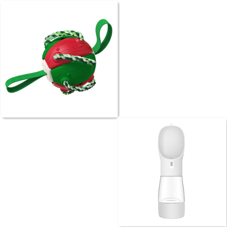 Interactive Football With Tabs Inflated Toys for Pets UK PET HOUSE