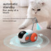 Interactive Pet Cat Dog Car Toy USB Charging (Crazy-Joy Car) UK PET HOUSE