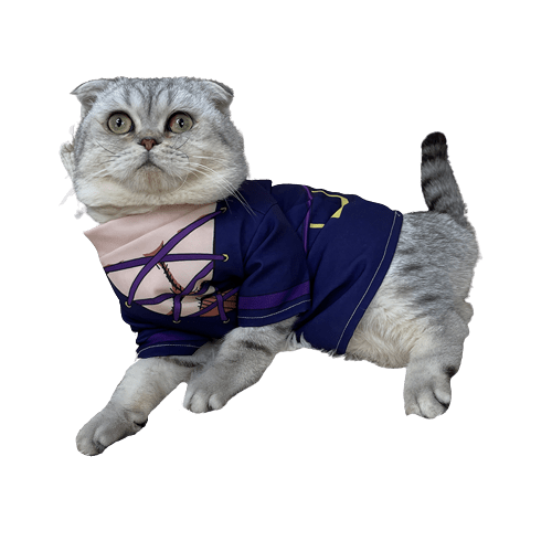 JoJo's Bizarre Adventure Cat Costumes UK PET HOUSE