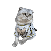 JoJo's Bizarre Adventure Cat Costumes UK PET HOUSE