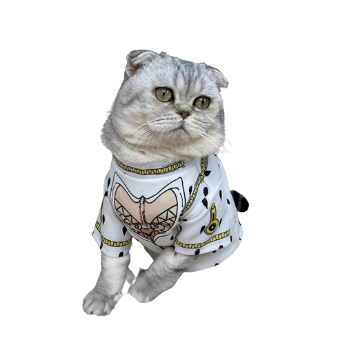 JoJo's Bizarre Adventure Cat Costumes UK PET HOUSE