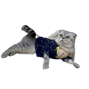 JoJo's Bizarre Adventure Cat Costumes UK PET HOUSE