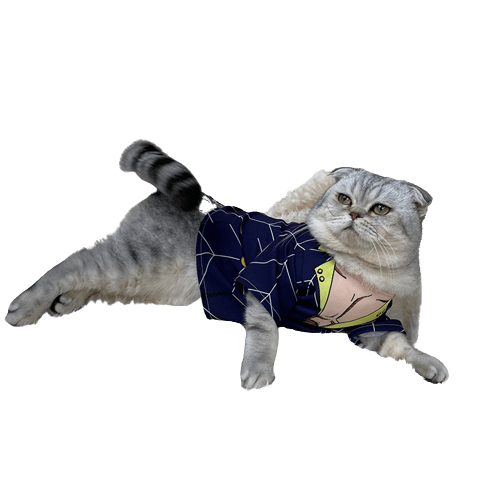 JoJo's Bizarre Adventure Cat Costumes UK PET HOUSE