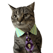 JoJo's Bizarre Adventure Cat Costumes UK PET HOUSE