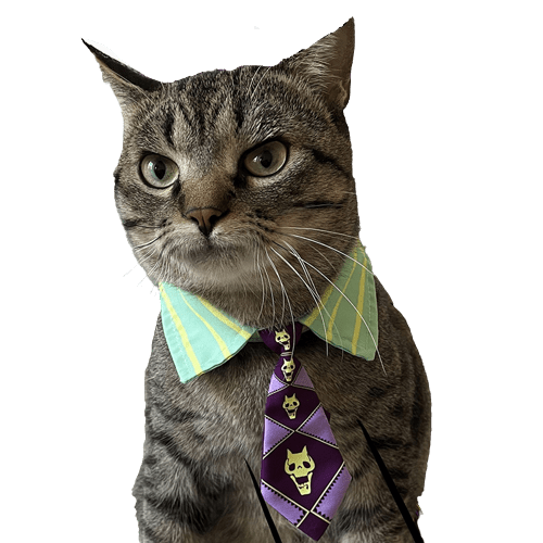 JoJo's Bizarre Adventure Cat Costumes UK PET HOUSE