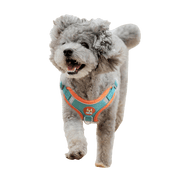 Leash Vest with Chest Strap UK PET HOUSE