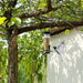 Outdoor Automatic Bird Feeder UK PET HOUSE