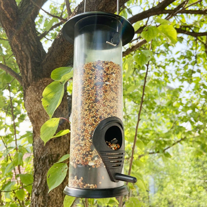 Outdoor Automatic Bird Feeder UK PET HOUSE