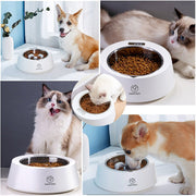 PAPIFEED 2 in 1 Smart Weighing & Slow Feeder UK PET HOUSE