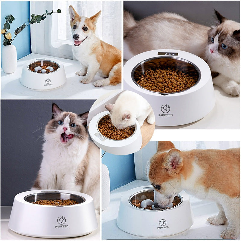 PAPIFEED 2 in 1 Smart Weighing & Slow Feeder UK PET HOUSE
