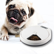 Pawise Pet Automatic Multi-grid Timing Feeder UK PET HOUSE