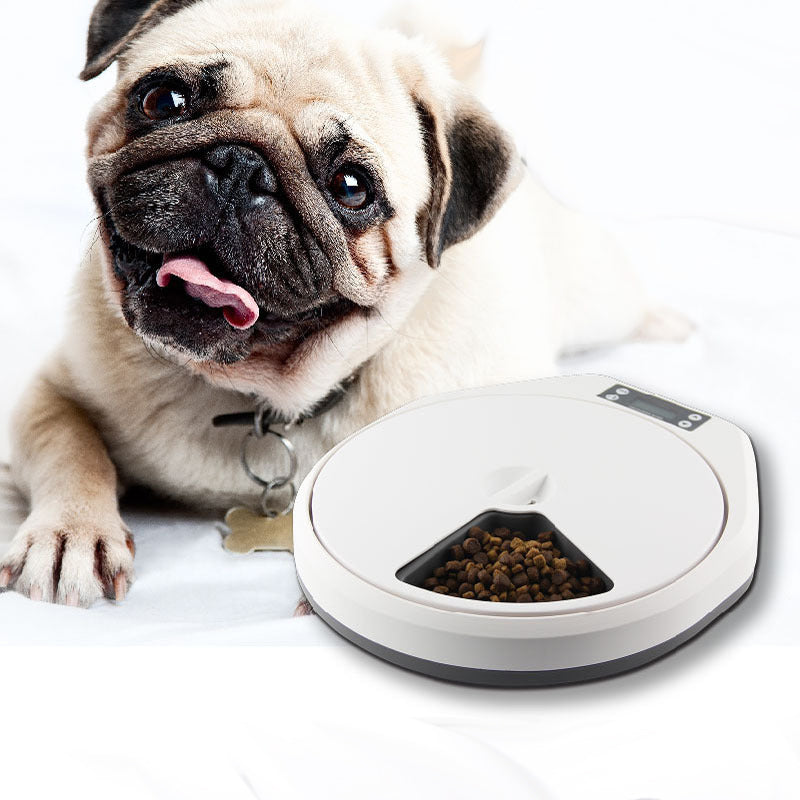 Pawise Pet Automatic Multi-grid Timing Feeder UK PET HOUSE