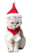 Pet Cat Dog Christmas Hairband Antlers Red Puppy Headwear UK PET HOUSE