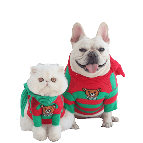 Pet Cat Dog Christmas Knitted Red and green striped Sweater UK PET HOUSE