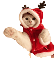 Pet Christmas Santa Costume UK PET HOUSE