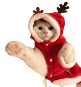 Pet Christmas Santa Costume UK PET HOUSE