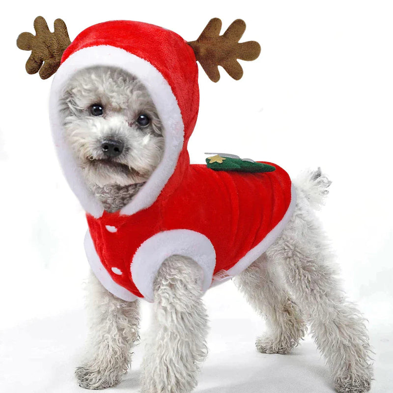 Pet Christmas Santa Costume UK PET HOUSE