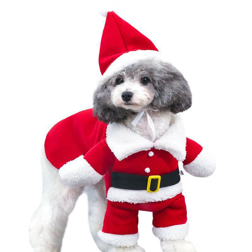 Pet Christmas Standing Costume UK PET HOUSE