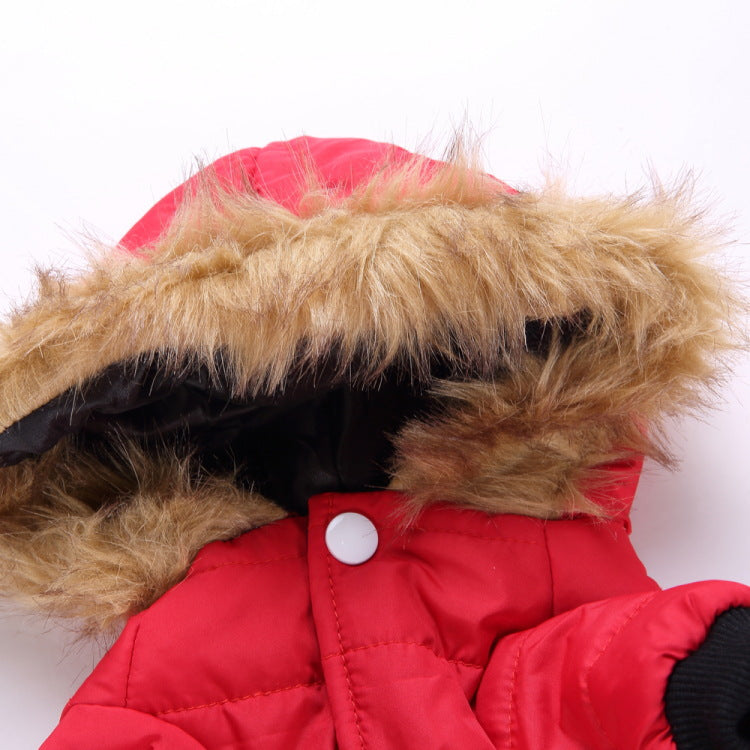 Pet Clothing Autumn And Winter Pet Sweater Teddy UK PET HOUSE