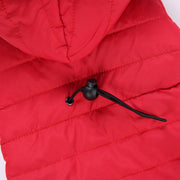 Pet Clothing Autumn And Winter Pet Sweater Teddy UK PET HOUSE