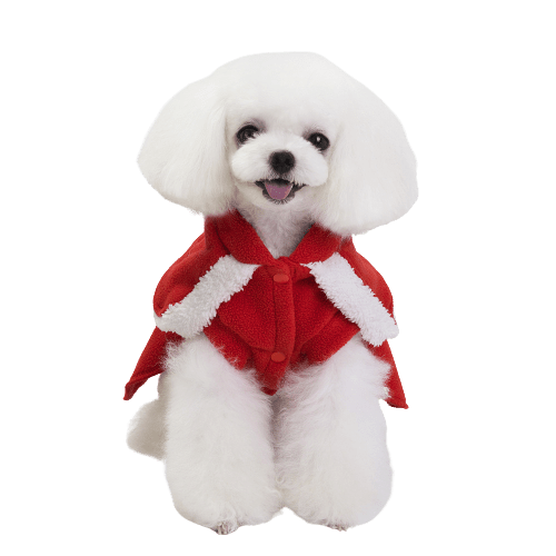 Pet Dog Cat Christmas outfit UK PET HOUSE
