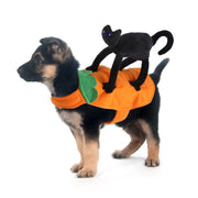 Pet Dog Cat Funny Cartoon Halloween Costume UK PET HOUSE