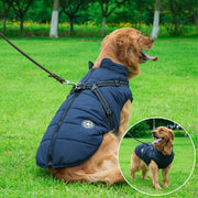 Pet Fashion Sports Waterproof Vest UK PET HOUSE