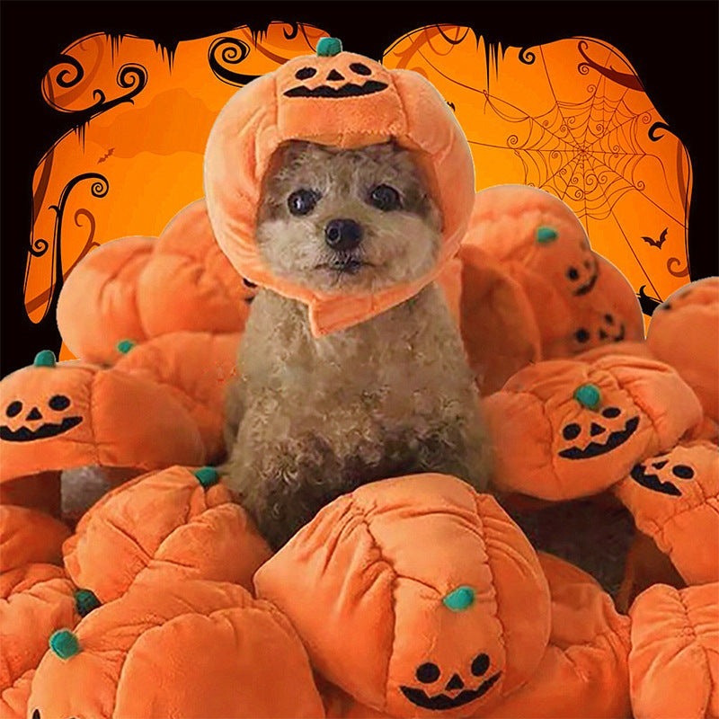 Pet Hat Halloween Funny Pumpkin Hat Cute Pet Animal Costume UK PET HOUSE