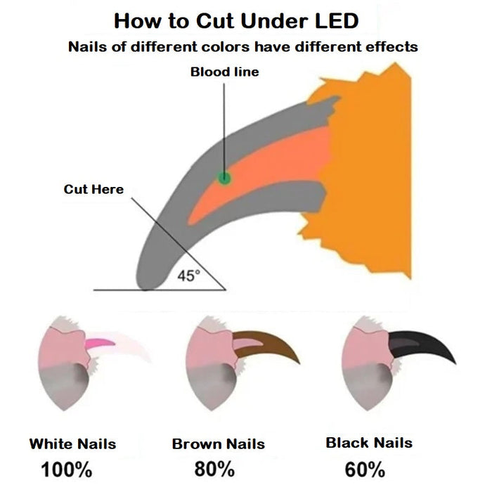 Pet Nail Clippers With LED Light UK PET HOUSE