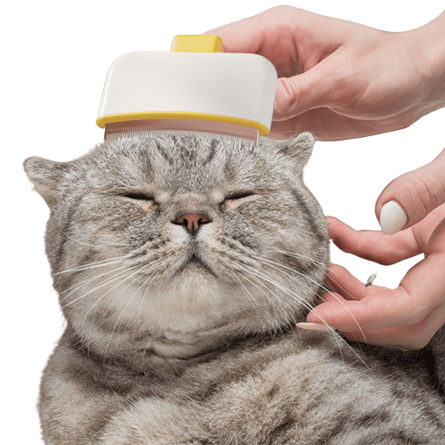 Pet Stainless Steel Needle Comb UK PET HOUSE