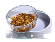 Pet Water Dispenser & Automatic Water Feeder For Pets UK PET HOUSE