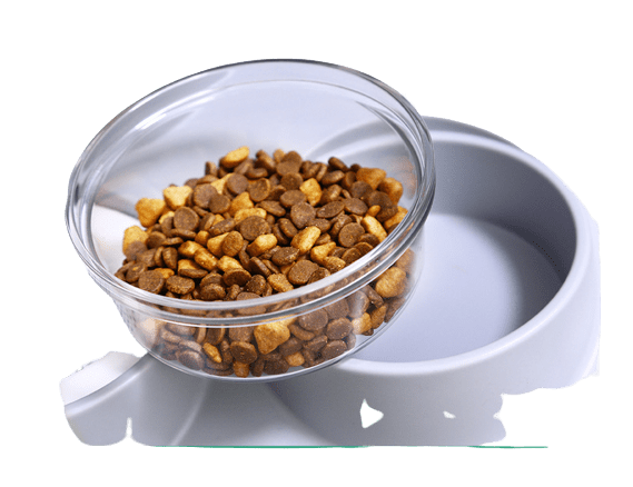 Pet Water Dispenser & Automatic Water Feeder For Pets UK PET HOUSE