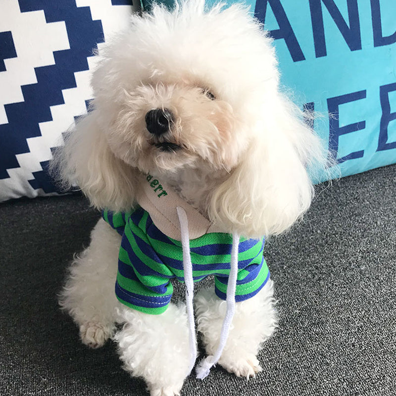 Pet striped sweater UK PET HOUSE